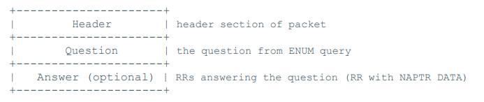 ENUM response packet format