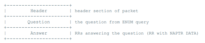 ENUM successful response packet format