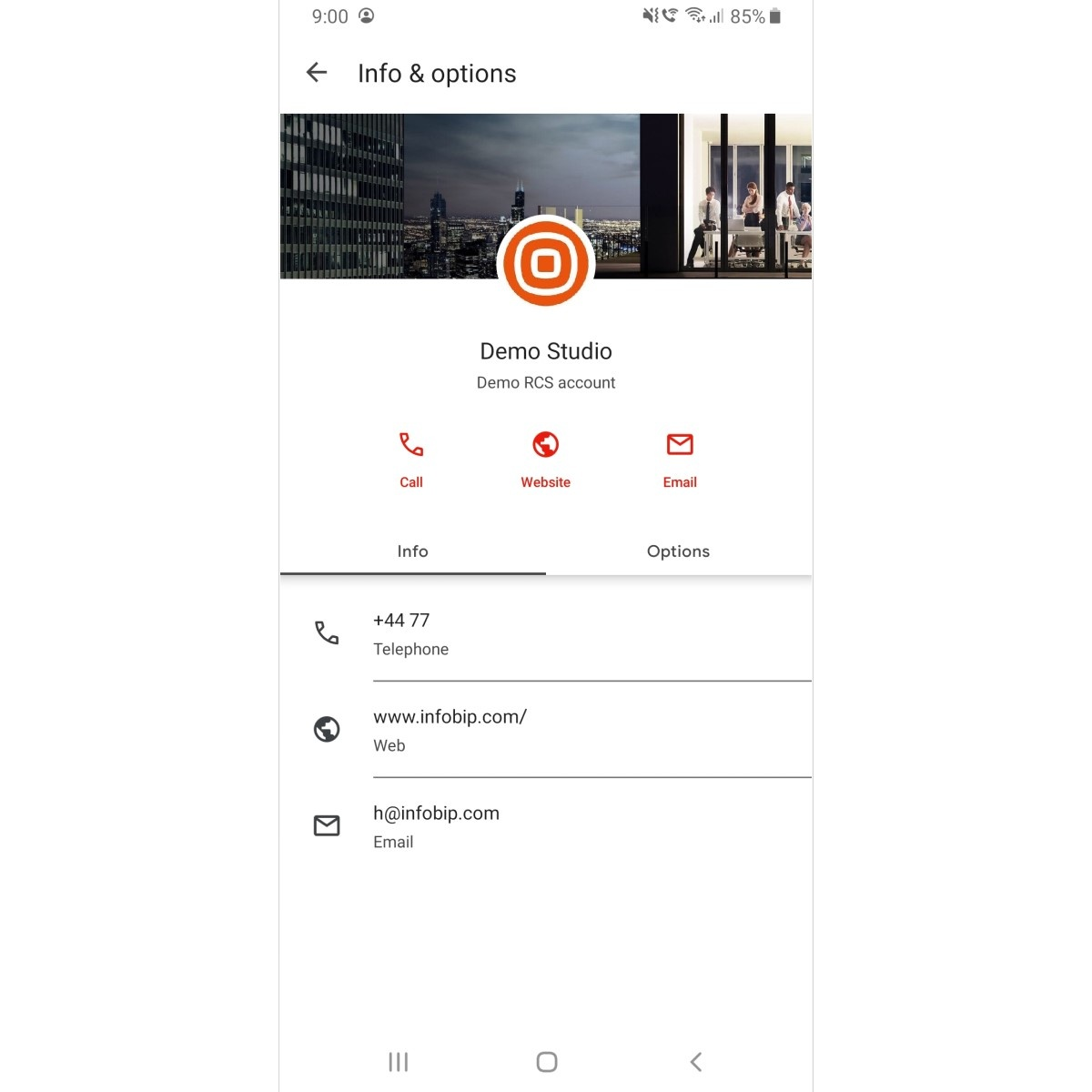 rcs agent details preview